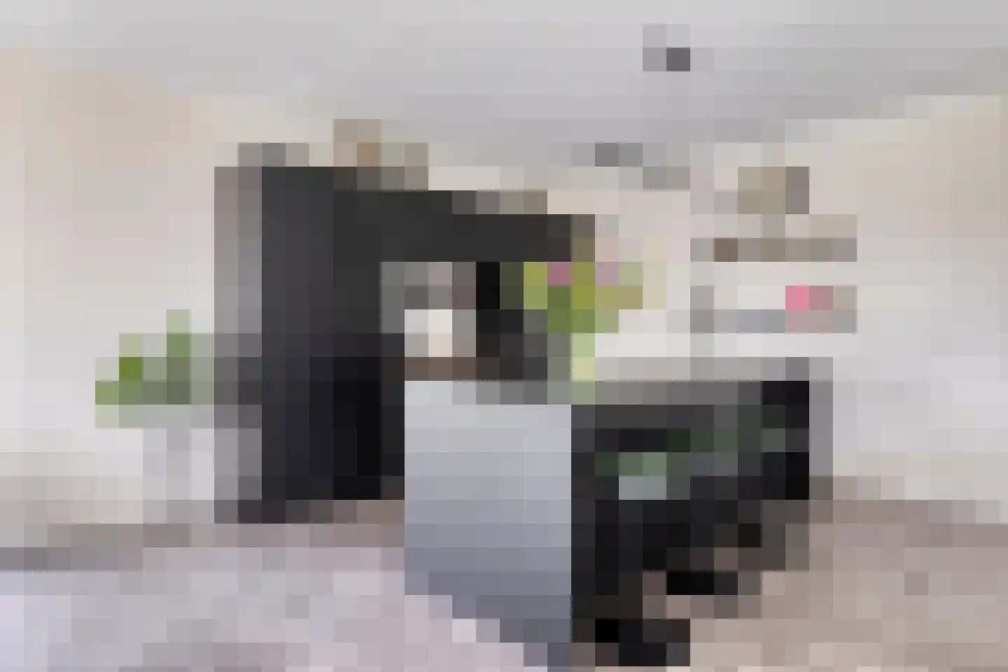 Spekdam 15 Kortgene thumbnail 13