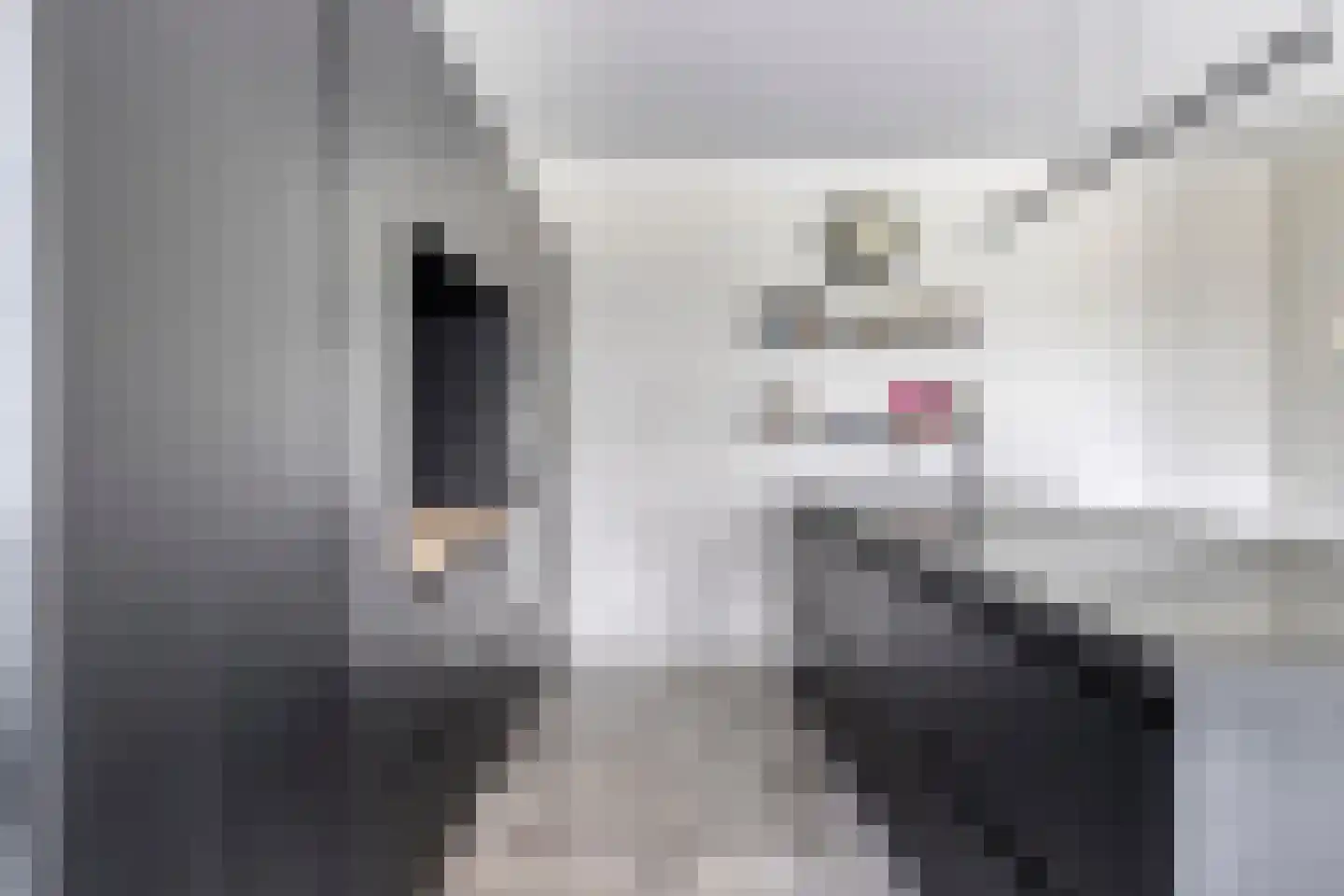 Spekdam 15 Kortgene thumbnail 14