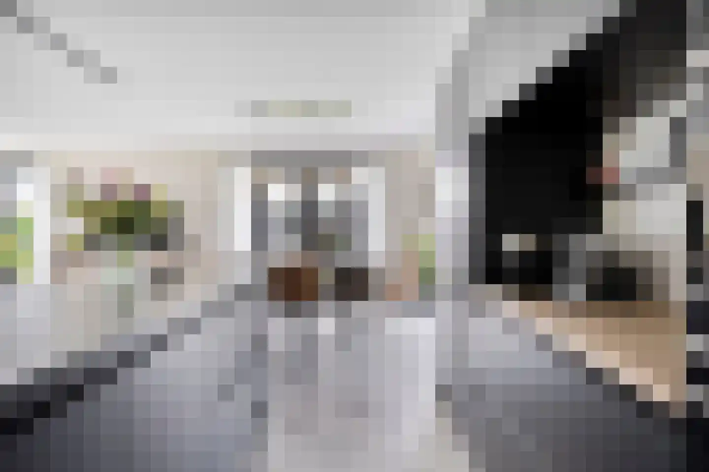 Spekdam 15 Kortgene thumbnail 15