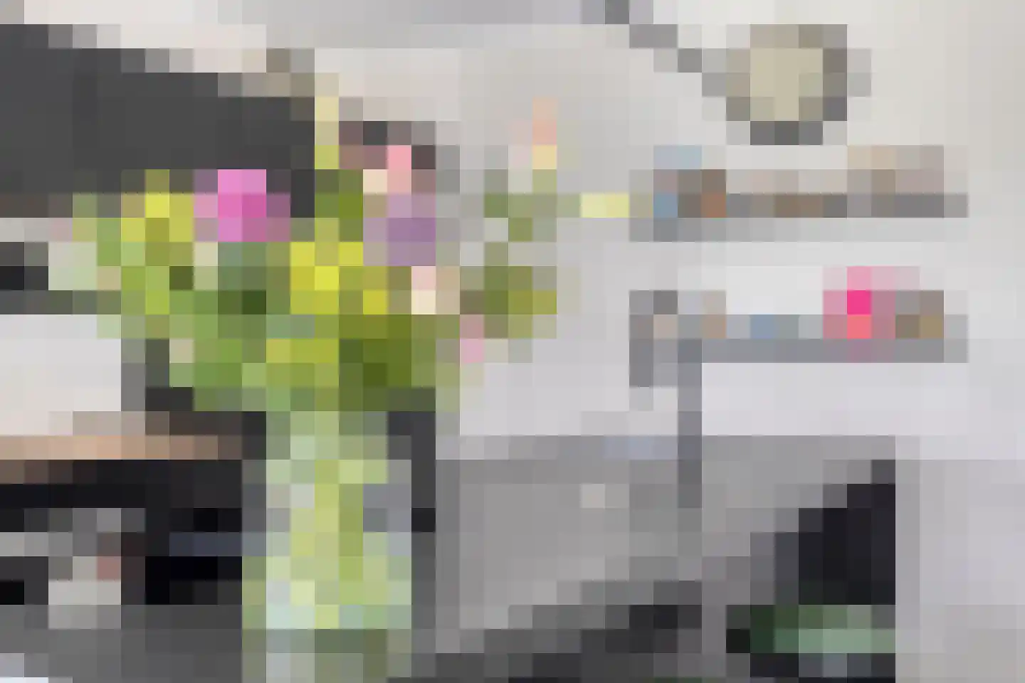 Spekdam 15 Kortgene thumbnail 16