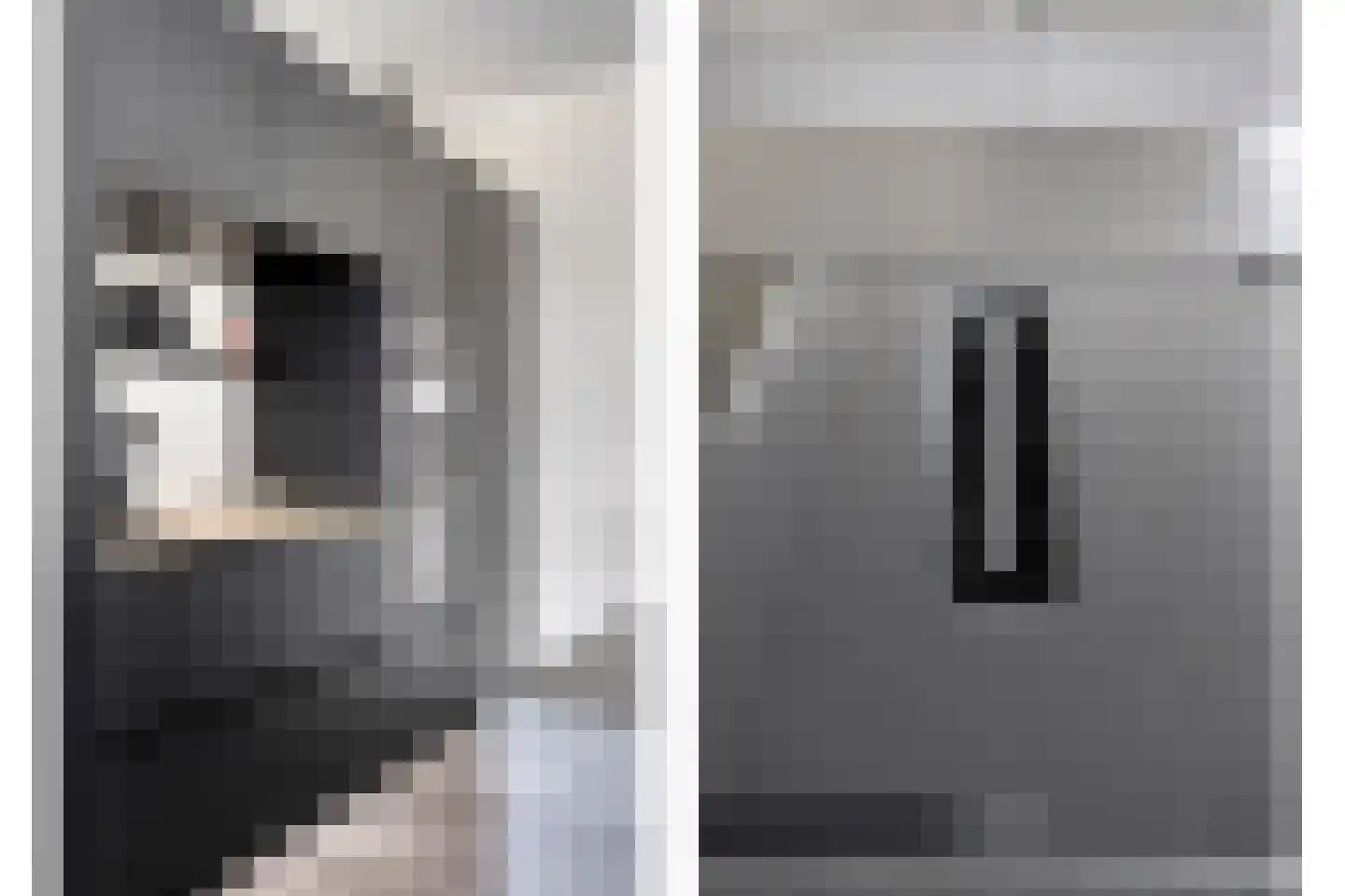 Spekdam 15 Kortgene thumbnail 17