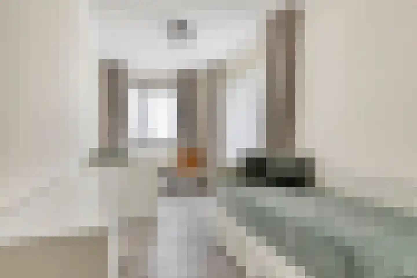 Spekdam 15 Kortgene thumbnail 18