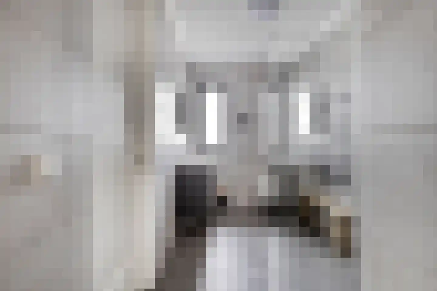 Spekdam 15 Kortgene thumbnail 22