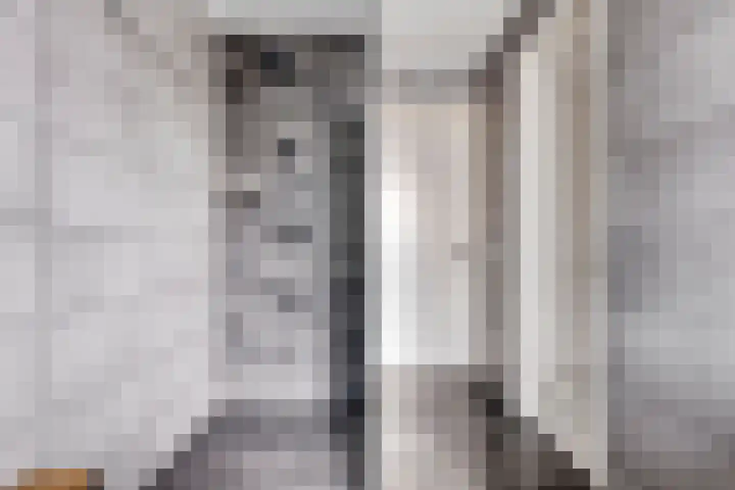 Spekdam 15 Kortgene thumbnail 23