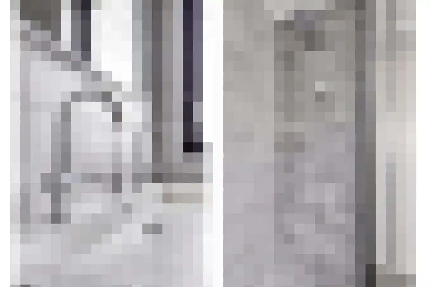 Spekdam 15 Kortgene thumbnail 24