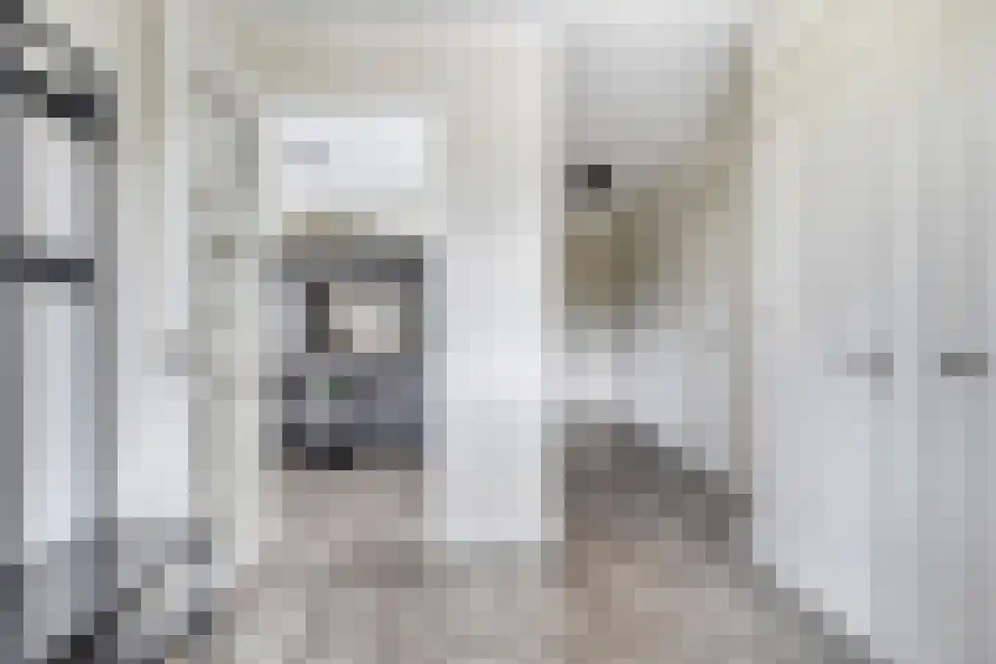Spekdam 15 Kortgene thumbnail 6
