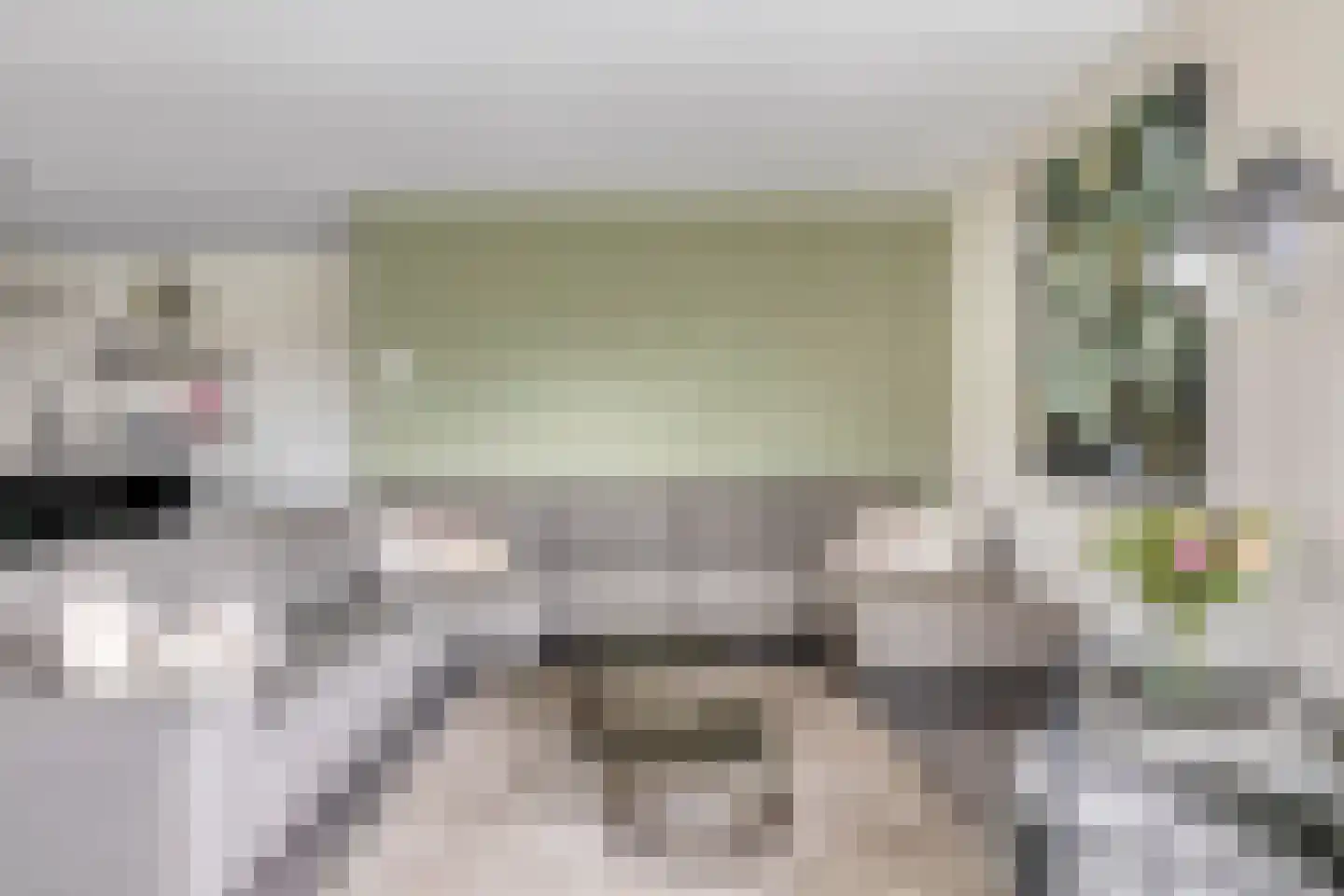 Spekdam 15 Kortgene thumbnail 8