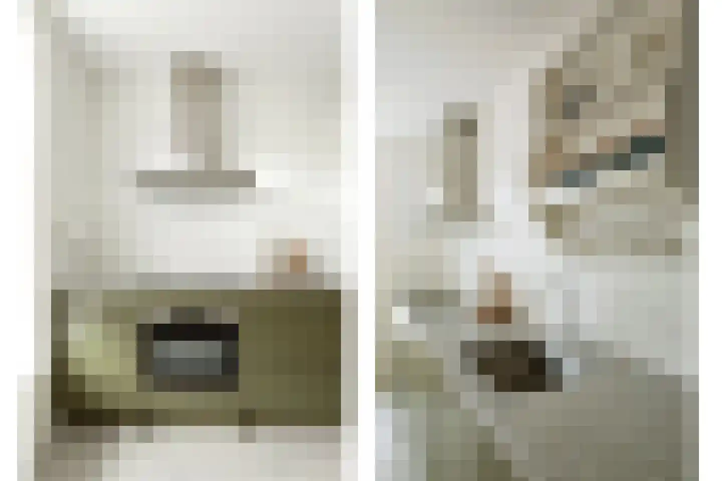 Spekdam 20 Kortgene thumbnail 11