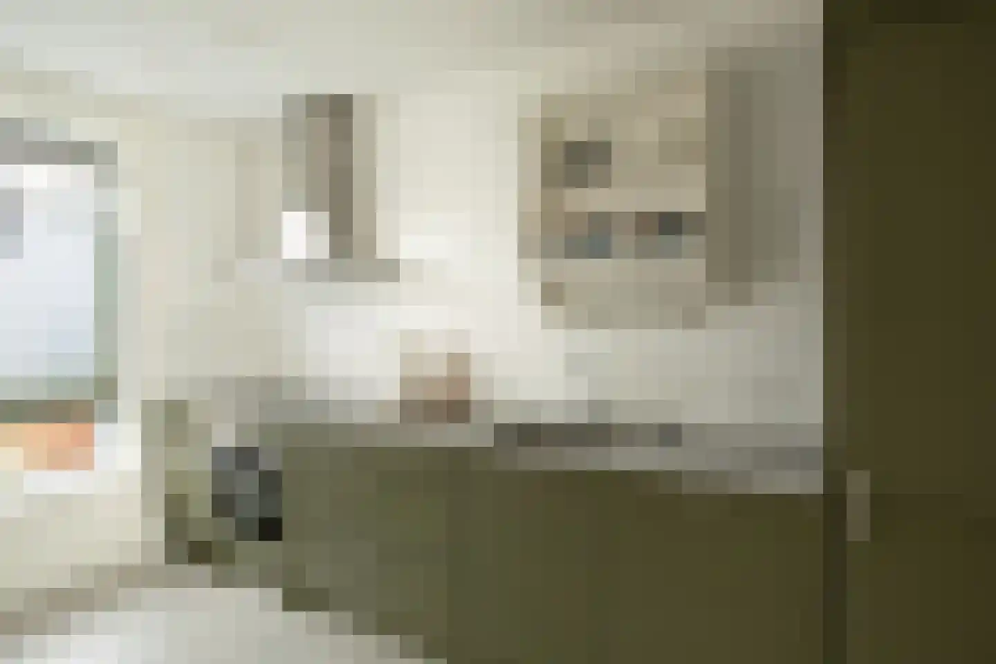Spekdam 20 Kortgene thumbnail 12