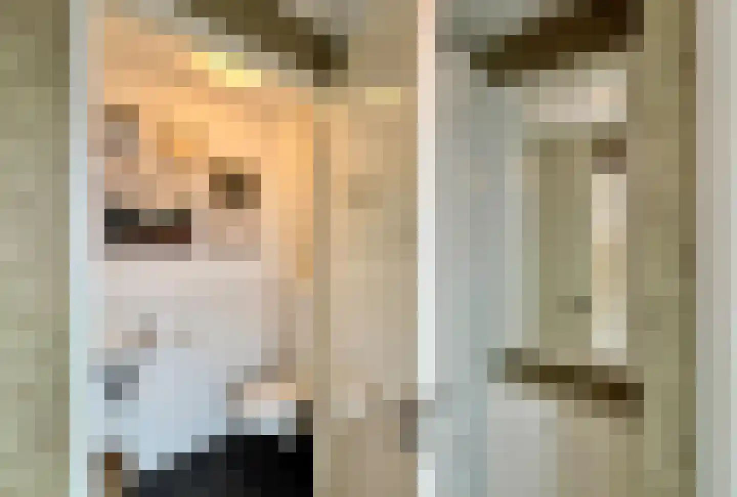 Spekdam 20 Kortgene thumbnail 14