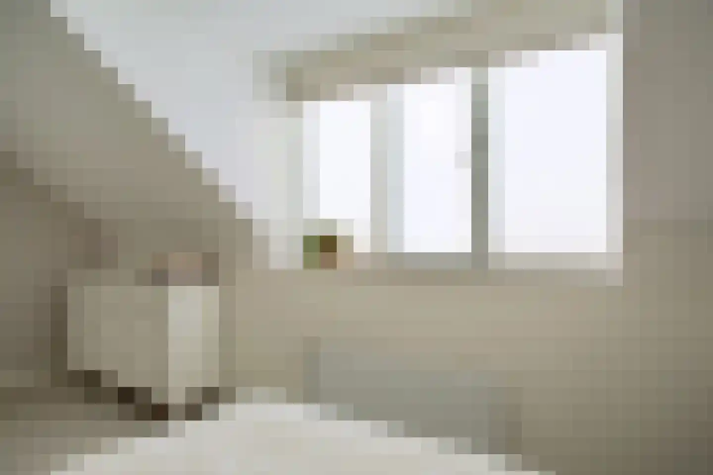 Spekdam 20 Kortgene thumbnail 17