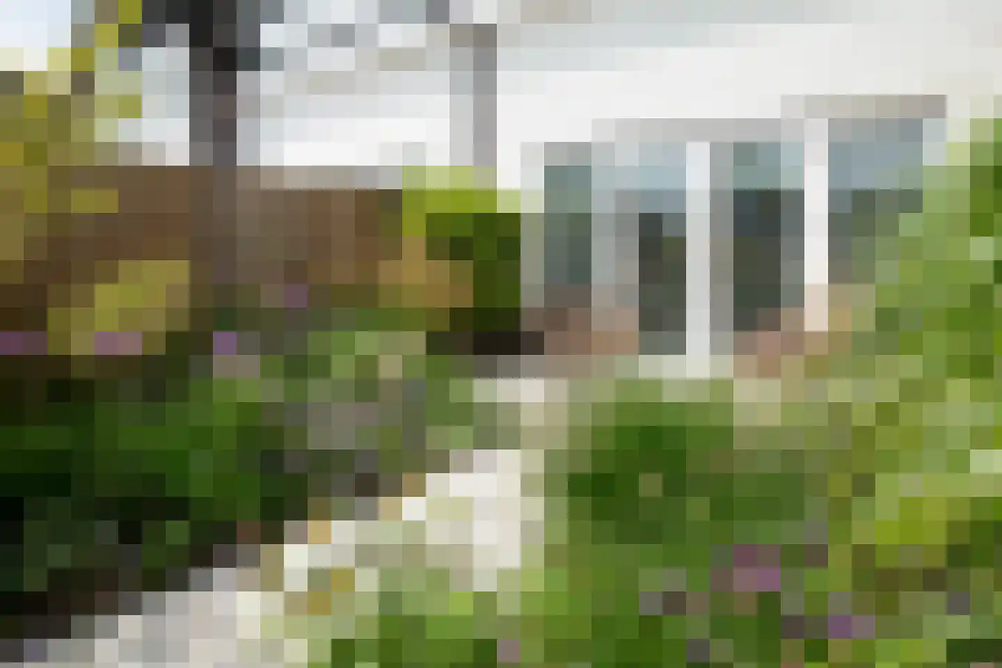 Spekdam 20 Kortgene thumbnail 26