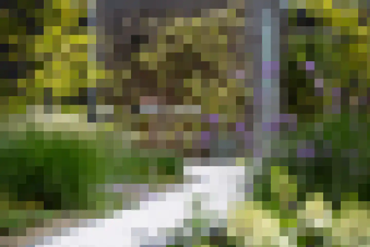 Spekdam 20 Kortgene thumbnail 28