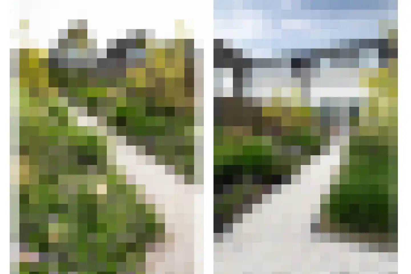 Spekdam 20 Kortgene thumbnail 30