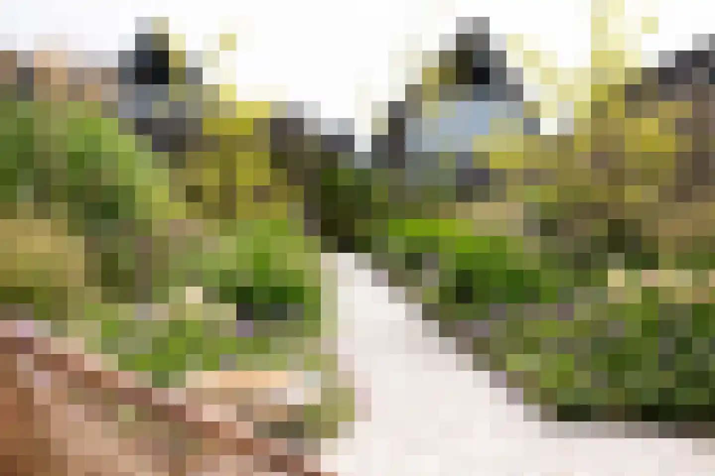 Spekdam 20 Kortgene thumbnail 31