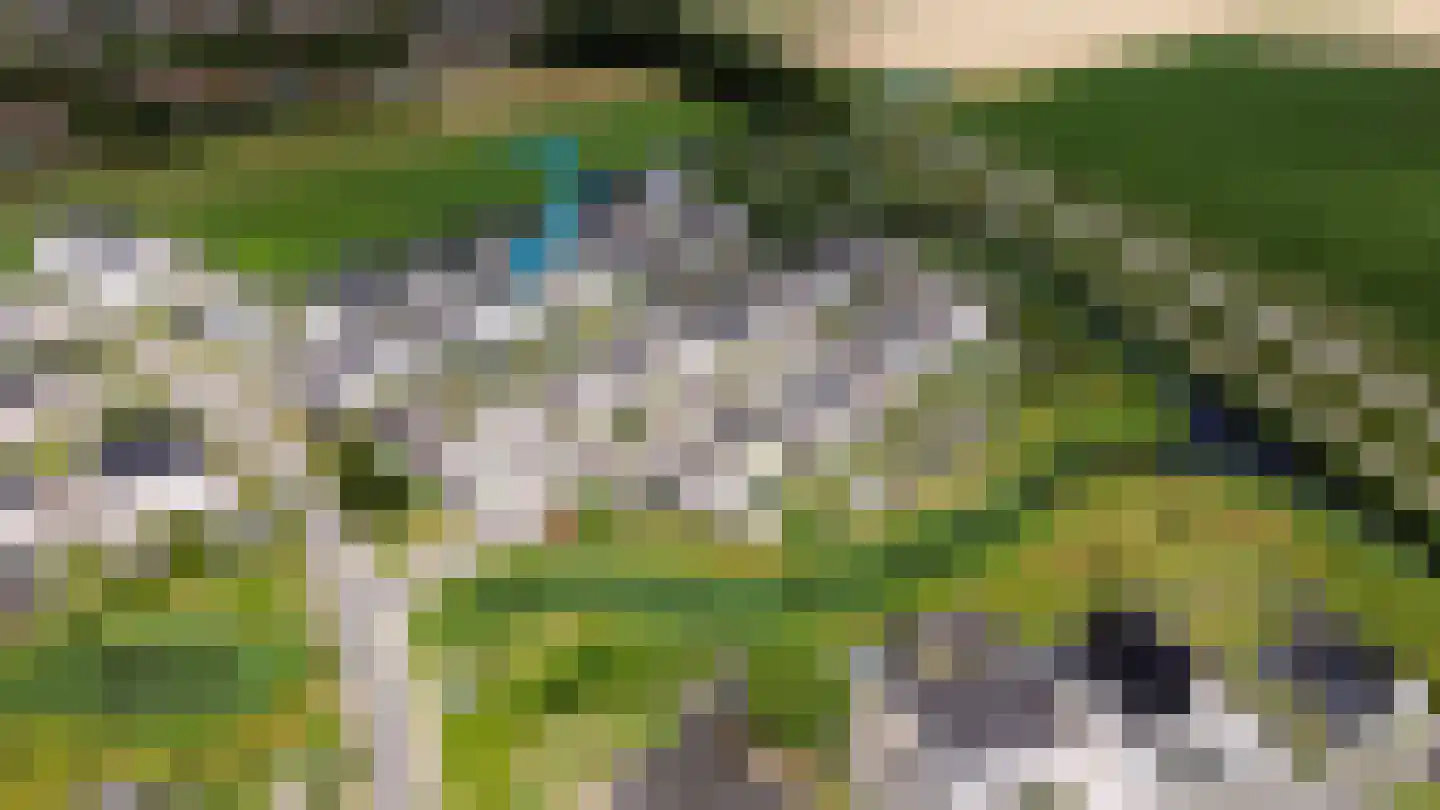 Spekdam 20 Kortgene thumbnail 35