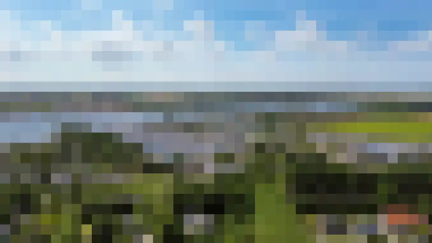 Spekdam 20 Kortgene thumbnail 39