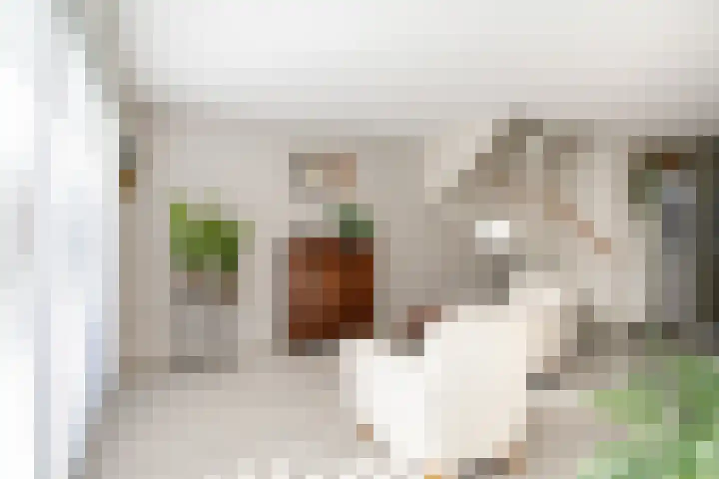 Spekdam 20 Kortgene thumbnail 8