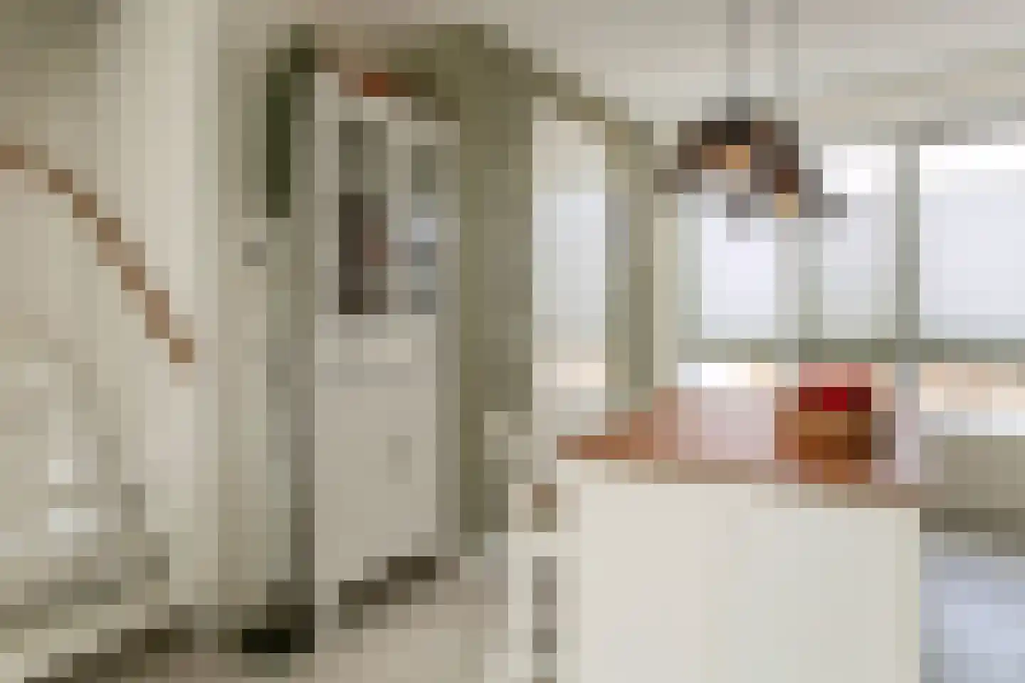 Spekdam 20 Kortgene thumbnail 9