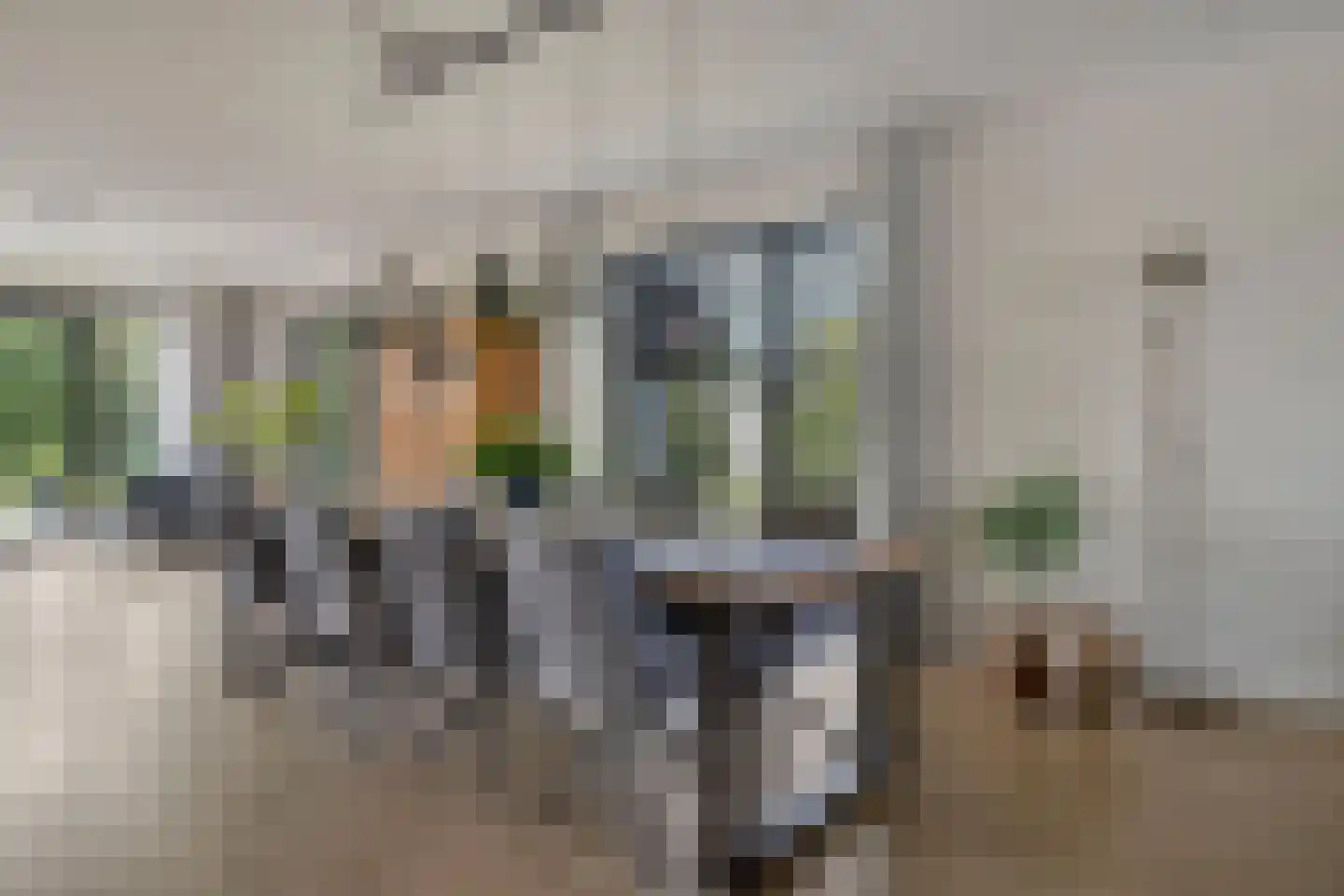 Spekdam 27 Kortgene thumbnail 13