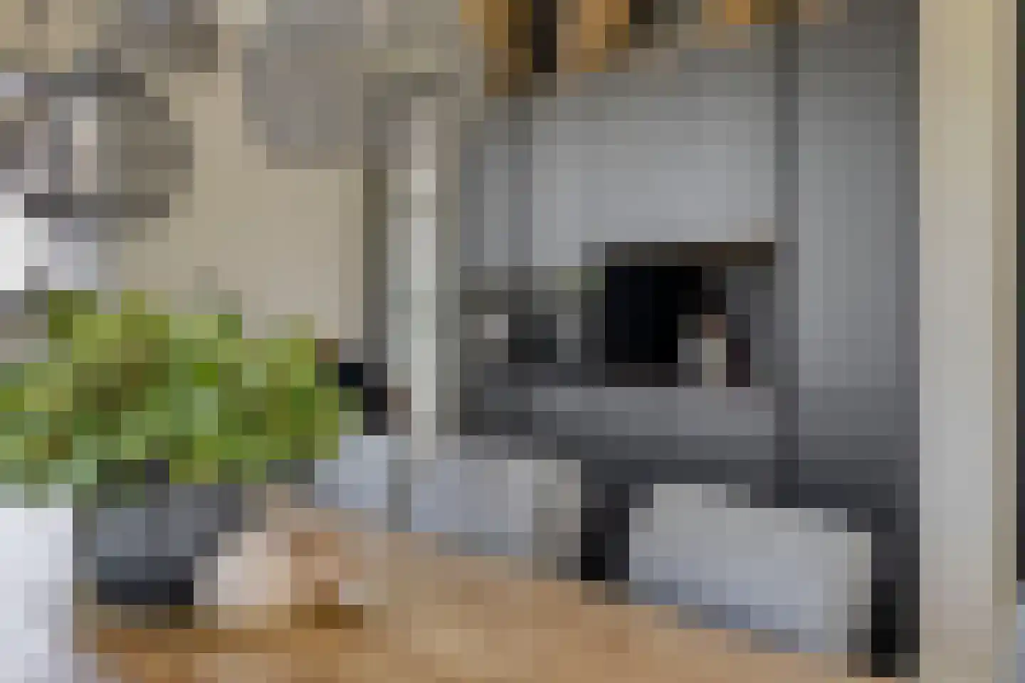 Spekdam 27 Kortgene thumbnail 25