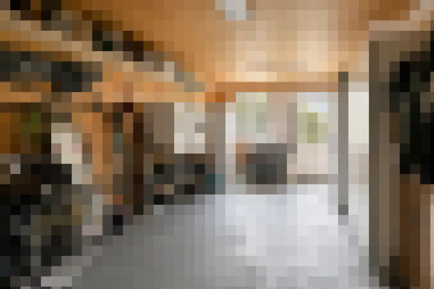Spekdam 27 Kortgene thumbnail 29