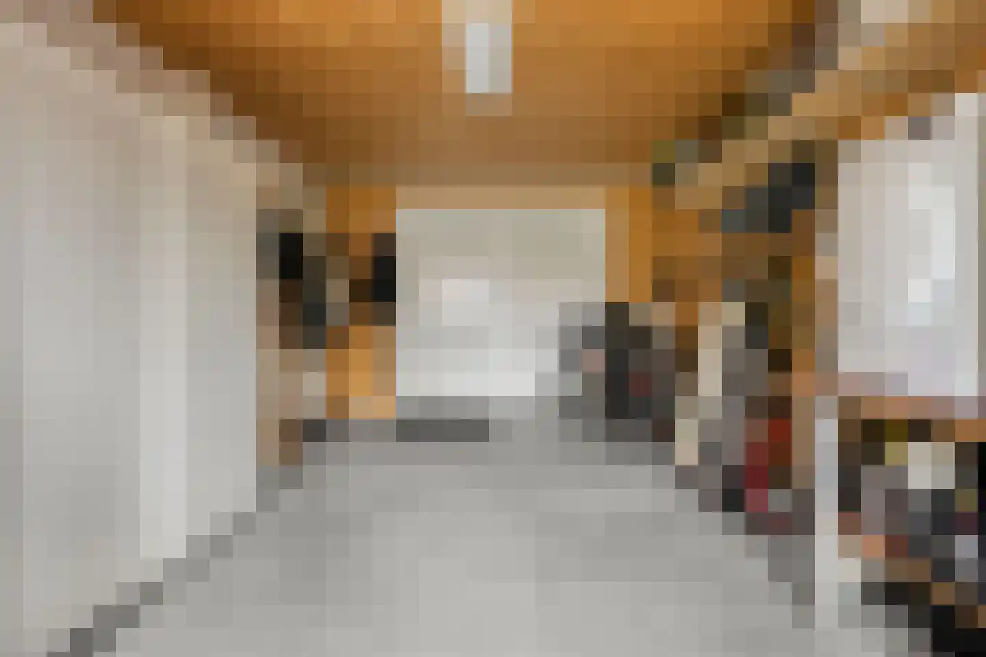 Spekdam 27 Kortgene thumbnail 30