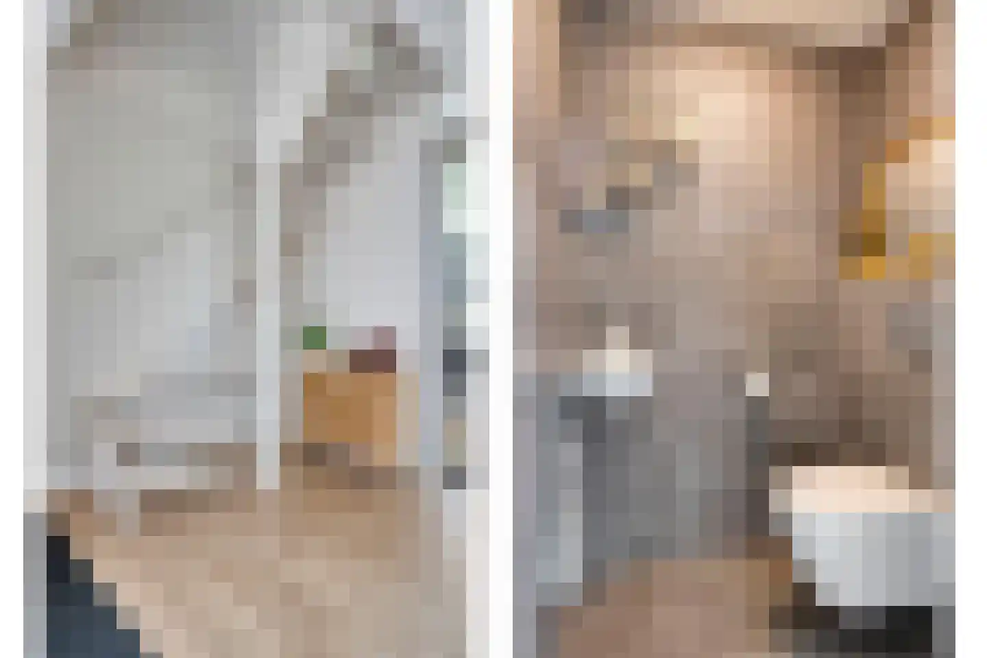 Spekdam 27 Kortgene thumbnail 32
