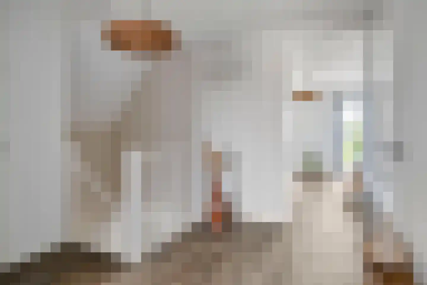 Spekdam 27 Kortgene thumbnail 34