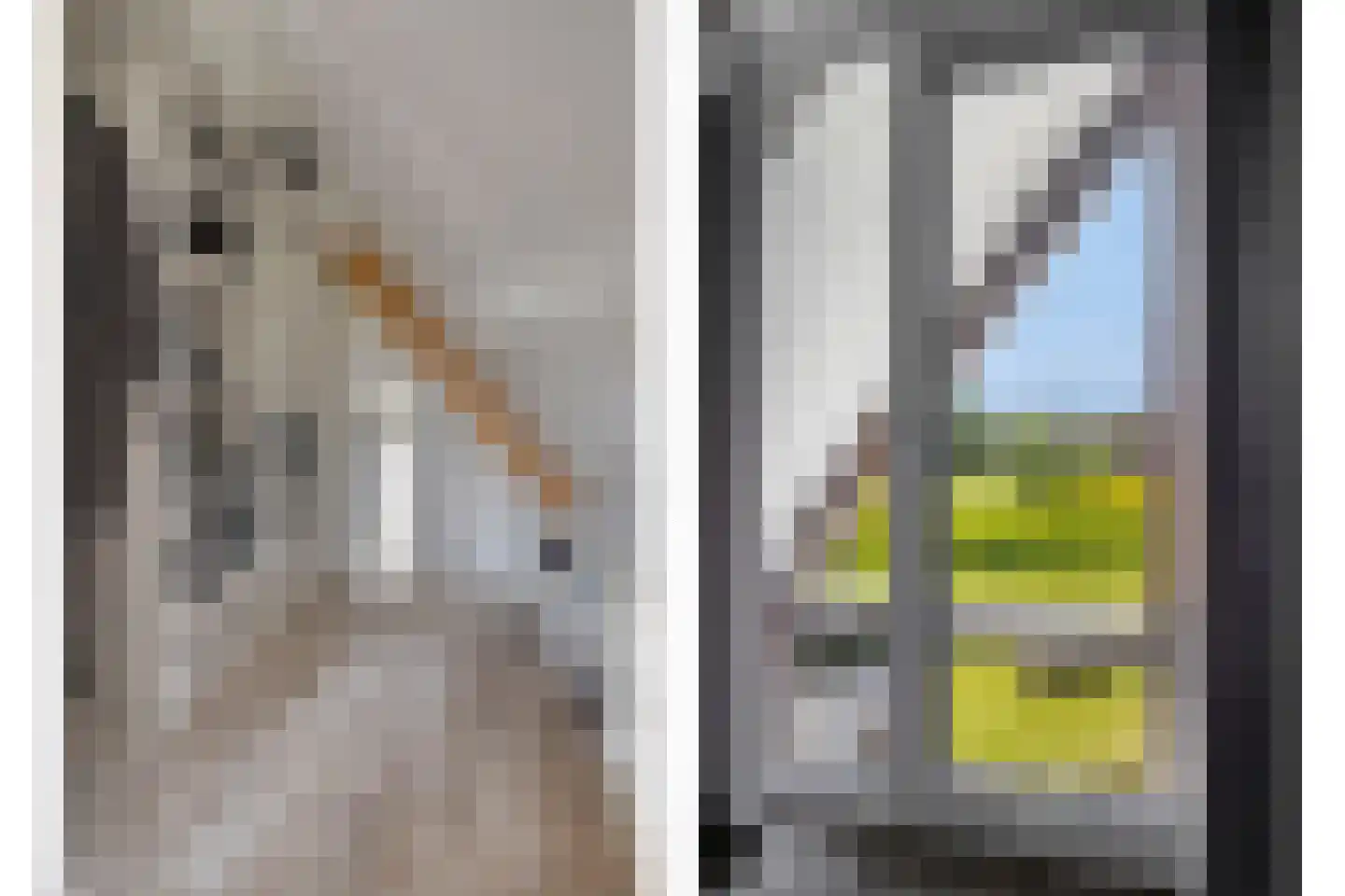 Spekdam 27 Kortgene thumbnail 37