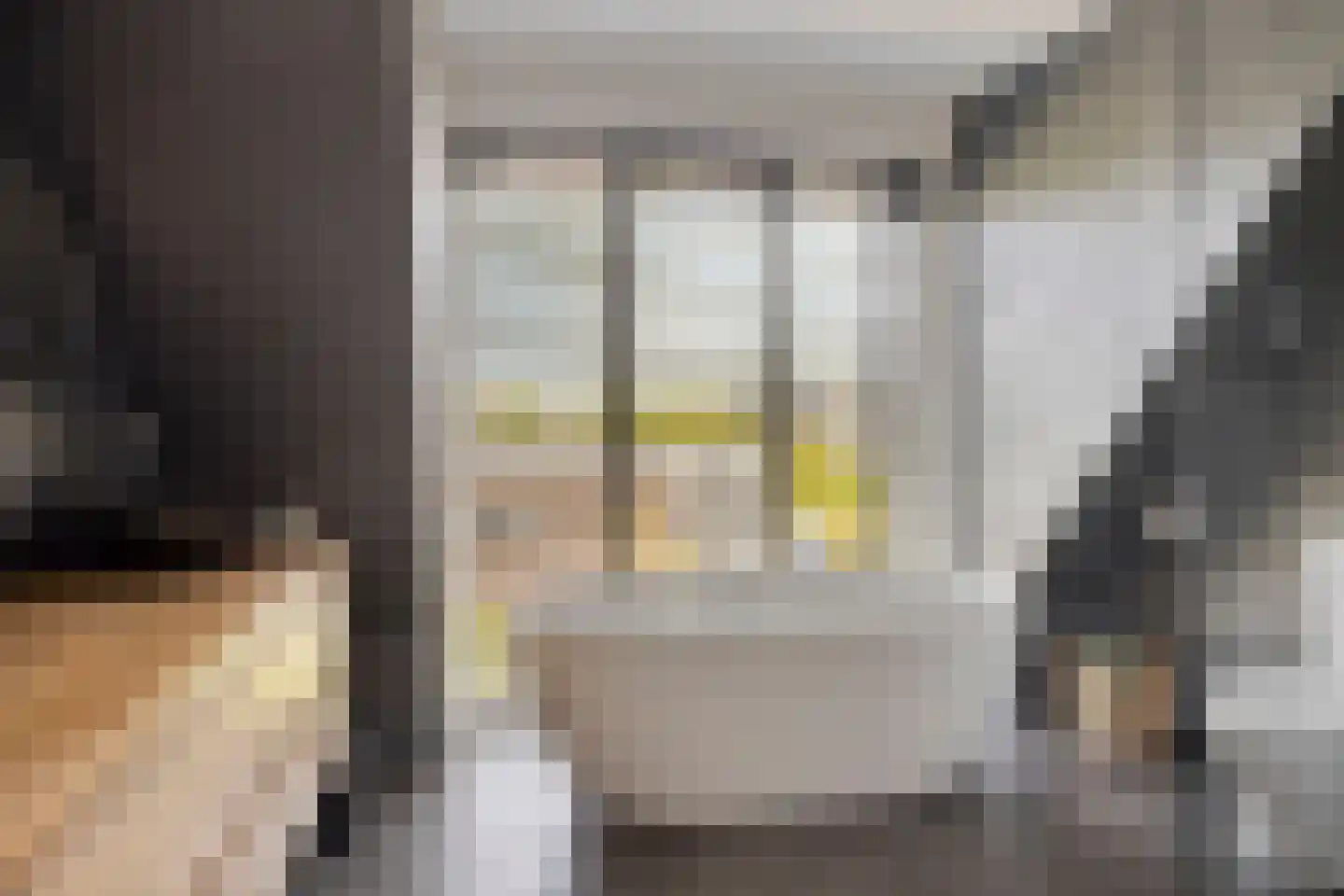 Spekdam 27 Kortgene thumbnail 40