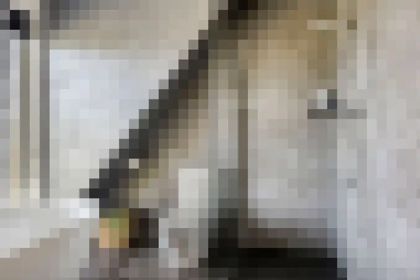 Spekdam 27 Kortgene thumbnail 42