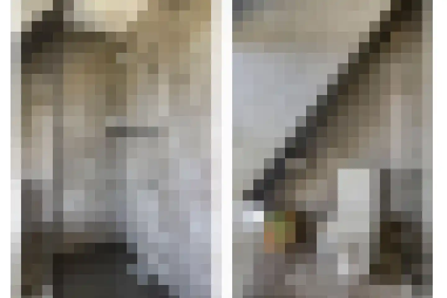Spekdam 27 Kortgene thumbnail 43