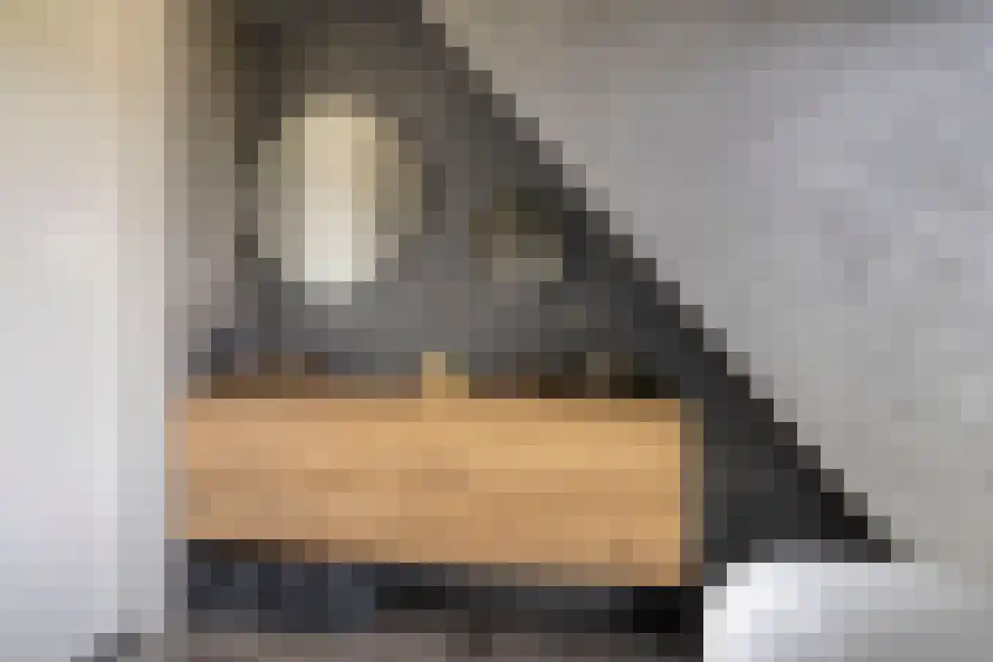 Spekdam 27 Kortgene thumbnail 44