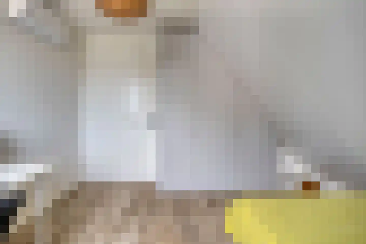 Spekdam 27 Kortgene thumbnail 47