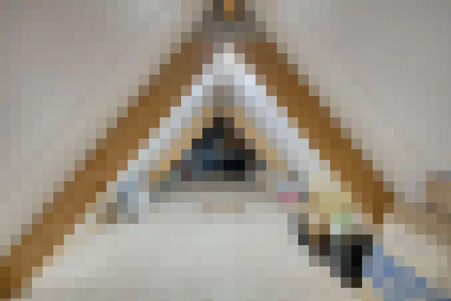 Spekdam 27 Kortgene thumbnail 49