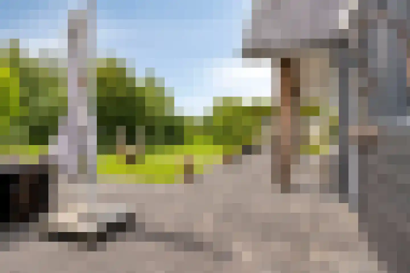 Spekdam 27 Kortgene thumbnail 50