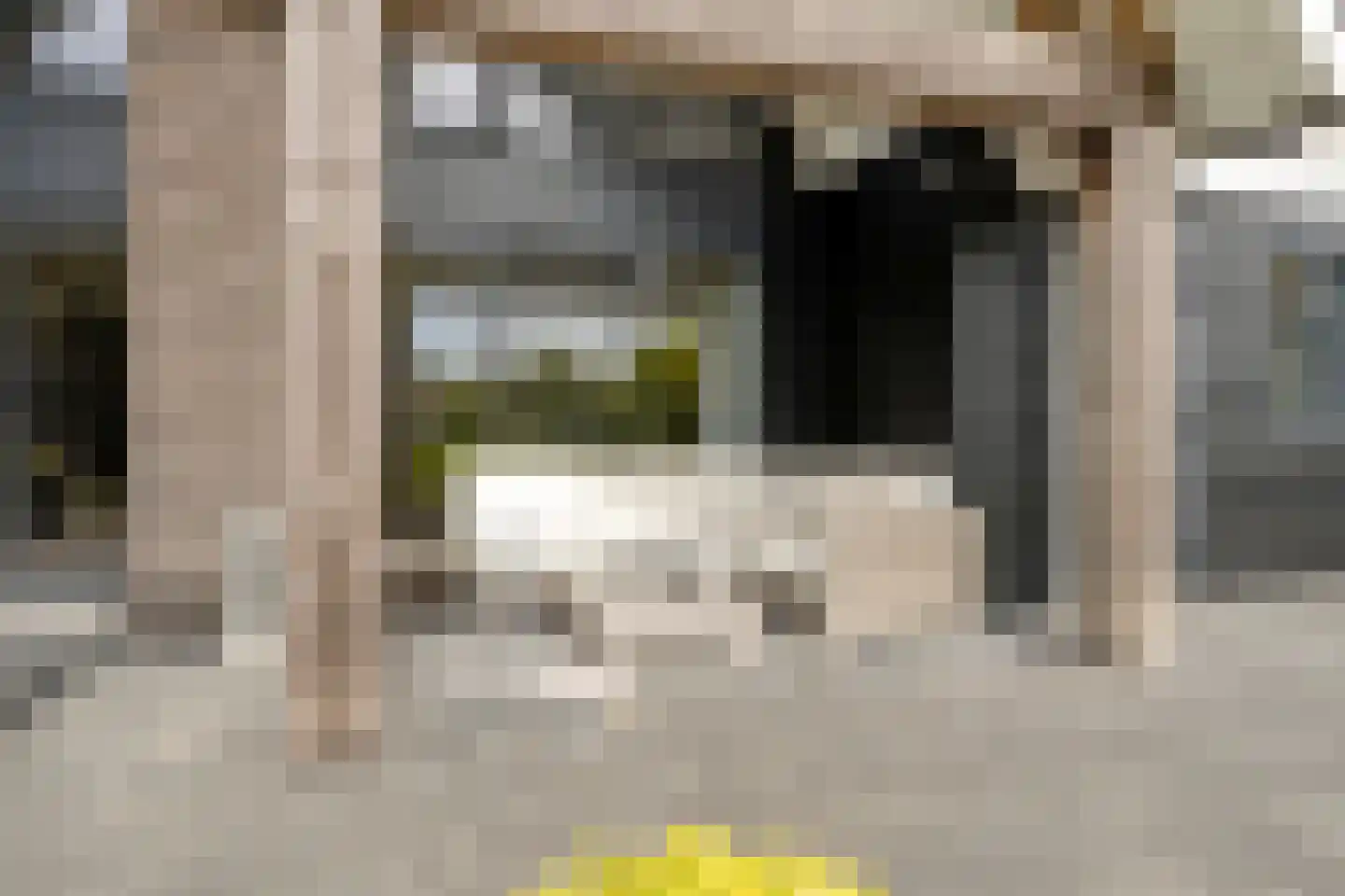 Spekdam 27 Kortgene thumbnail 53