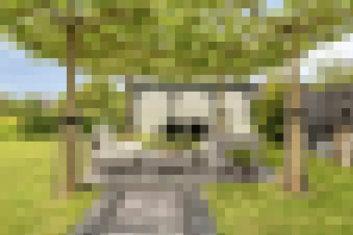 Spekdam 27 Kortgene thumbnail 55