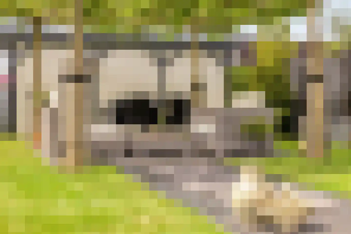 Spekdam 27 Kortgene thumbnail 56