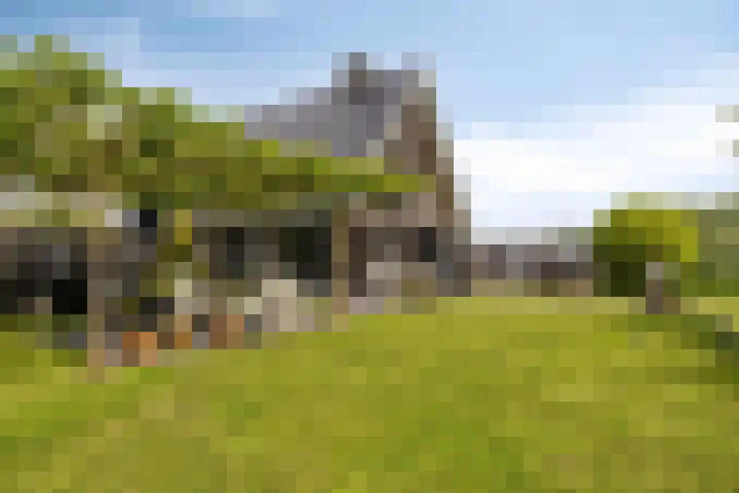 Spekdam 27 Kortgene thumbnail 59