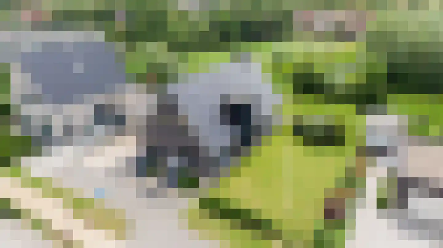 Spekdam 27 Kortgene thumbnail 69
