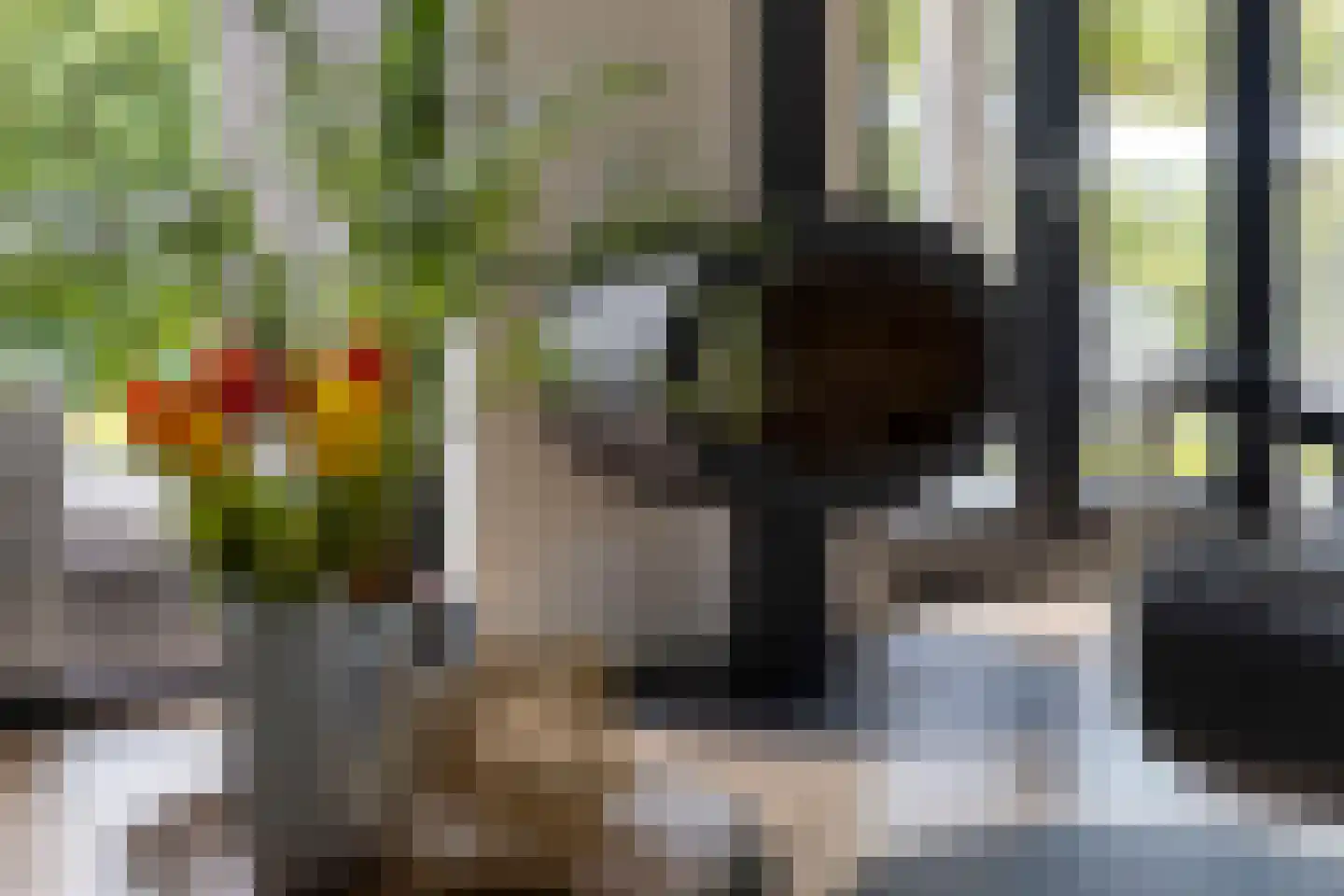 Spekdam 27 Kortgene thumbnail 8