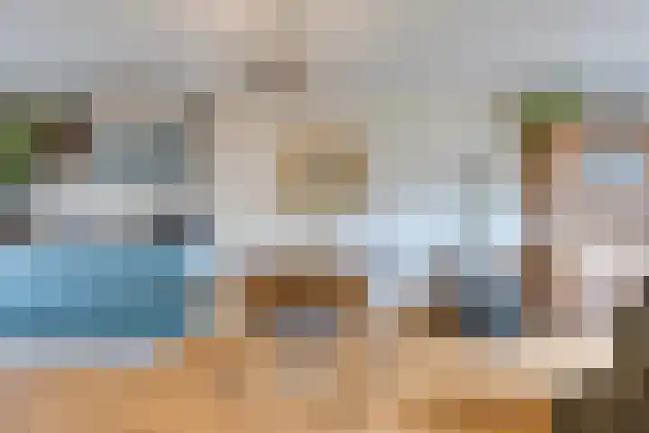 Spekdam 4 Kortgene thumbnail 12