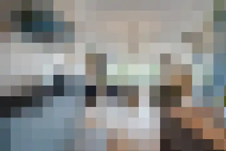Spekdam 4 Kortgene thumbnail 15