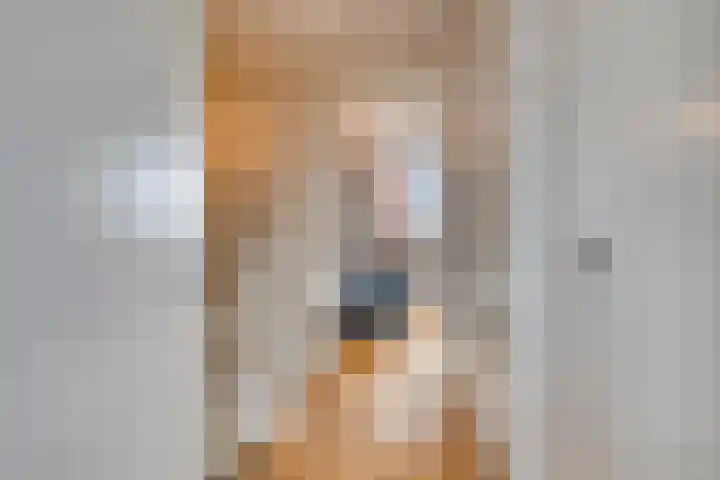Spekdam 4 Kortgene thumbnail 16