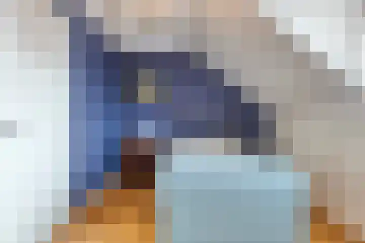 Spekdam 4 Kortgene thumbnail 19