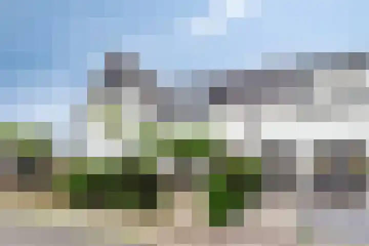 Spekdam 4 Kortgene foto 2