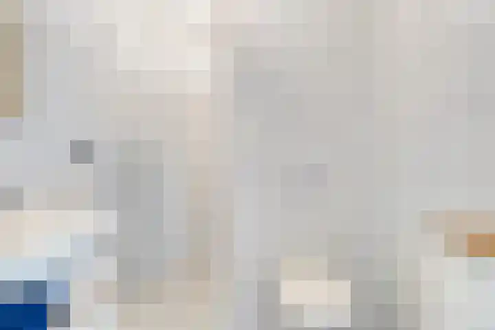 Spekdam 4 Kortgene thumbnail 21