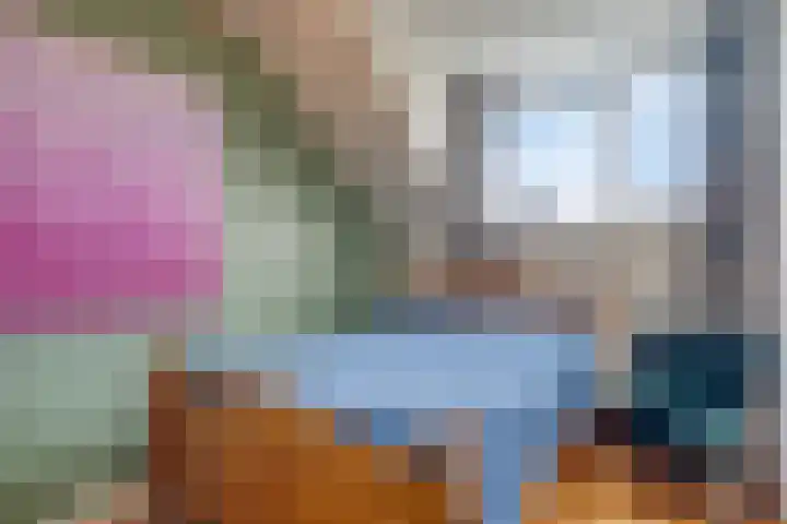 Spekdam 4 Kortgene thumbnail 23